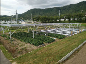株式会社アグリツリー