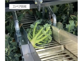 プロダクトソリューションエンジニアリング