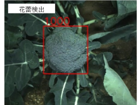 プロダクトソリューションエンジニアリング