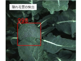 プロダクトソリューションエンジニアリング