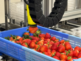 イチゴパック詰めロボット