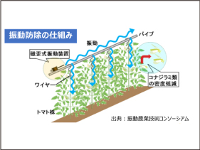 振動を利用した害虫防除について
