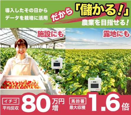 グリーン株式会社