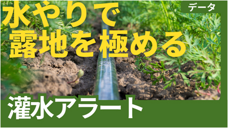 グリーン株式会社