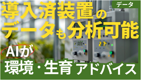 グリーン株式会社