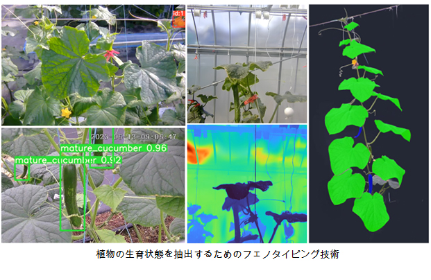 九州大学農学部農業生産システム設計学研究室